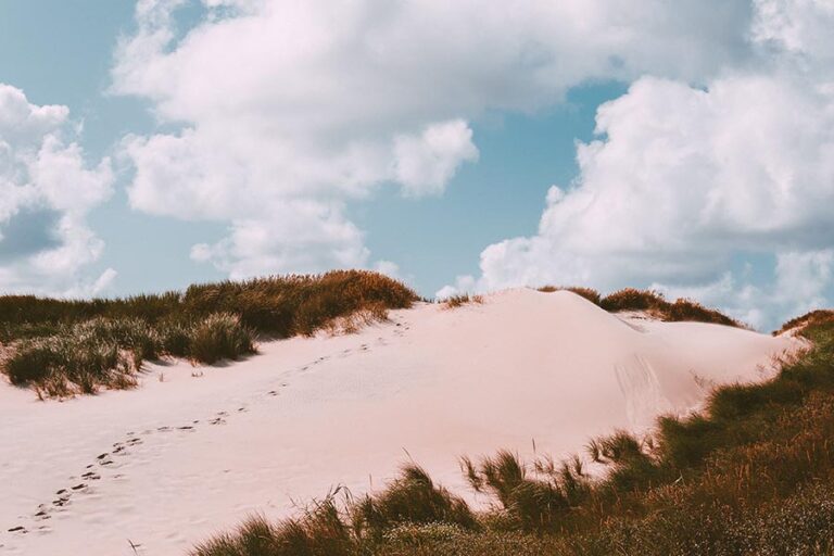 Sand Dunes in Cape Town image