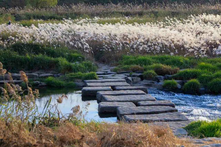 Making Concrete Stepping Stones